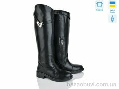 Ailinda 03006-2dМ, 1100.00, 6, 36-40