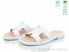 Ailinda 902-8, 500.00, 6, 36-40