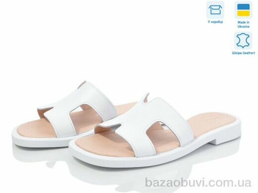Ailinda 902-8, 500.00, 6, 36-40
