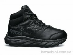 Pet 851-1, 650.00, 8, 36-41