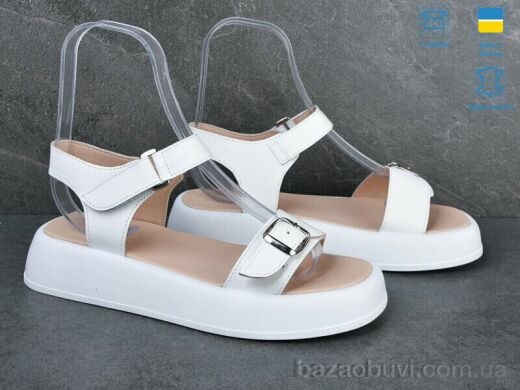 Ailinda 309-8, 690.00, 6, 36-40