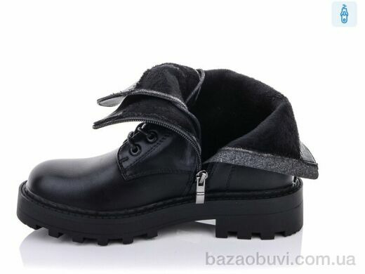 Purlina XL1572-1, 550.00, 8, 36-41