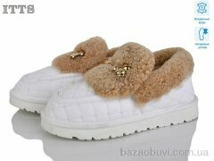 ITTS 336-4, 23.00, 6, 36-41