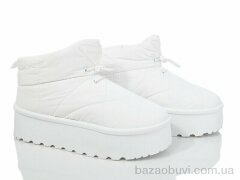 Захар-Gold T63-2, 270.00, 8, 36-41