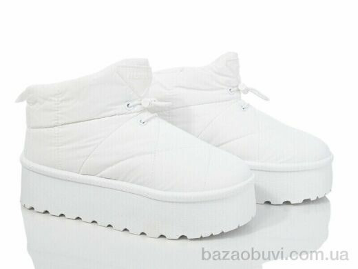 Захар-Gold T63-2, 270.00, 8, 36-41