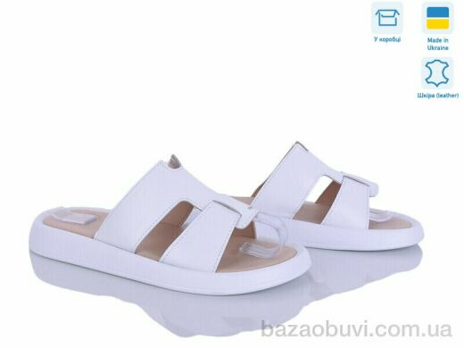 Ailinda 893-8A, 680.00, 6, 36-40