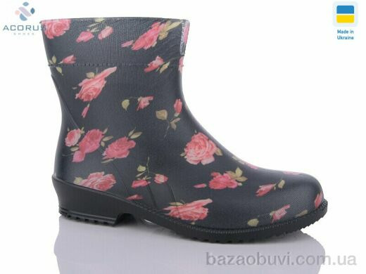 Acorus LT, 290.00, 6, 37-41