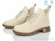 Kulada-UCSS-MD C192-3, 620.00, 8, 36-41