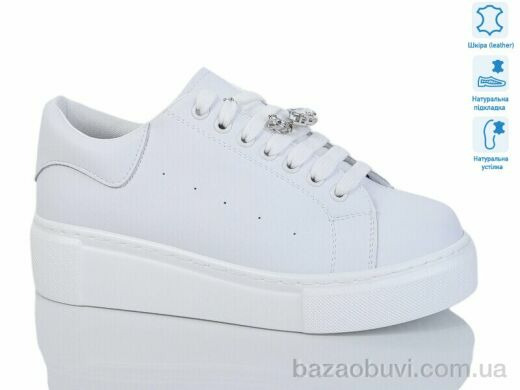 Purlina 4204-2, 450.00, 8, 36-41