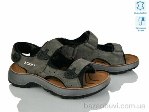 KIMBOO T61-3L, 650.00, 8, 32-37