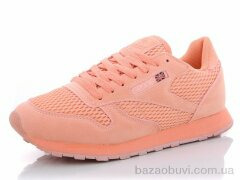 CR W1855-2, 250.00, 8, 36-41