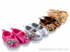 Buddy Sheep D6 mix, 65.00, 12, 11-13