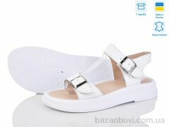 Ailinda 310-8, 730.00, 6, 36-40