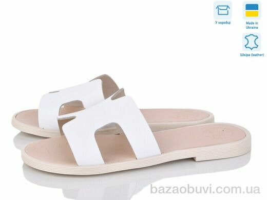 Ailinda 993-8, 520.00, 6, 36-40