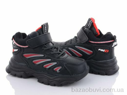 Мир 2878-S2111-2, 230.00, 8, 26-31