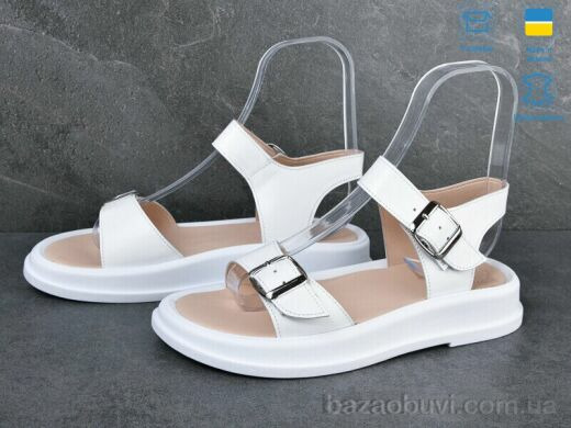 Ailinda 310-8, 590.00, 6, 36-40