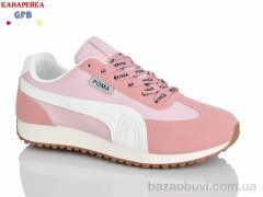 GFB-Канарейка Q540-6, 800.00, 8, 36-41