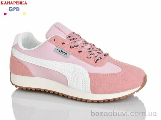 GFB-Канарейка Q540-6, 800.00, 8, 36-41