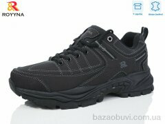 ROYYNA 094D, 25.00, 8, 41-46