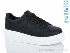 Purlina 4205-1, 450.00, 8, 36-41