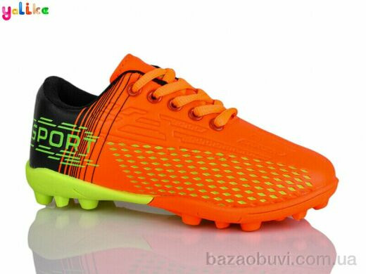 Yalike C05-2, 380.00, 12, 31-36