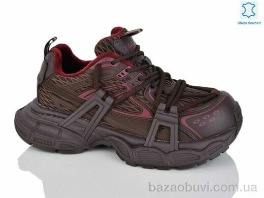 Teetspace-Trasta-Egga WDP1890-33, 33.00, 6, 36-40