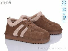 ITTS 7740-4, 22.00, 6, 32-37