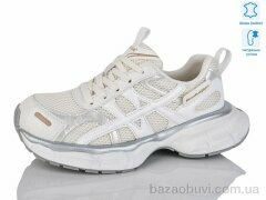 Teetspace-Trasta-Egga WDP1827-26, 35.00, 6, 36-40