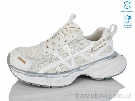 Teetspace-Trasta-Egga WDP1827-26, 35.00, 6, 36-40