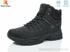 ROYYNA 095D-6, 30.00, 8, 41-46