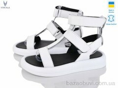 Viscala 23718-0132 б.ш., 590.00, 6, 36-40