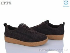 ITTS AQ007-2, 22.00, 6, 36-41