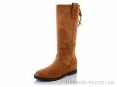 Lion 2008 camel, 280.00, 8, 36-41