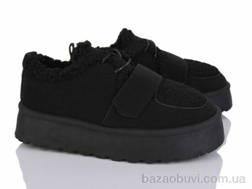 Moli W26-1, 500.00, 8, 36-41