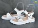 Ailinda 310-8, 730.00, 6, 36-40