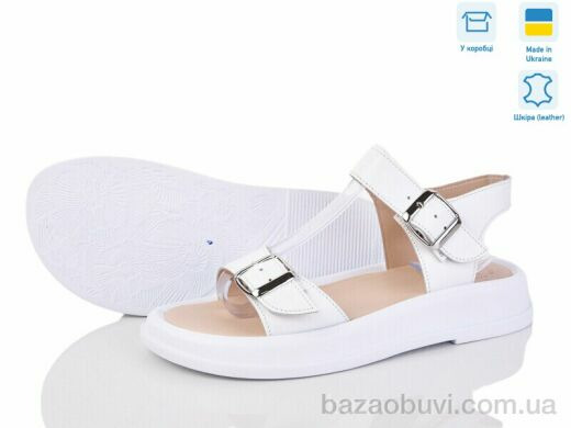 Ailinda 310-8, 590.00, 6, 36-40