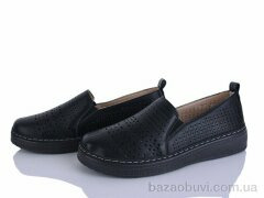 Lion-Lu 2024-30, 350.00, 8, 36-41