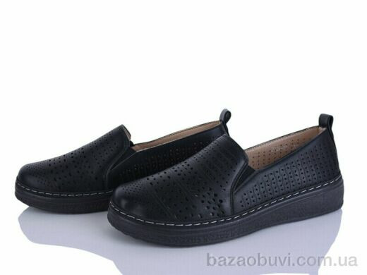 Lion-Lu 2024-30, 350.00, 8, 36-41