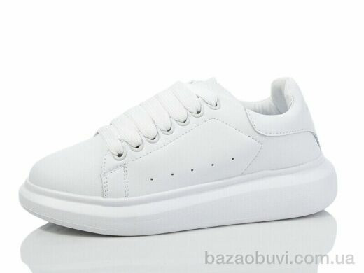 Ditof B0028-2, 14.00, 8, 36-41