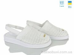 Ailinda 1319-81, 690.00, 6, 36-40