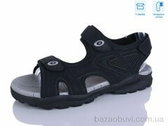 Hongquan F26-1, 620.00, 8, 41-46