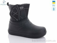 Acorus 100, 285.00, 8, 37-41
