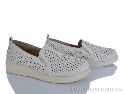 Lion-Lu 2024-33, 350.00, 8, 36-41