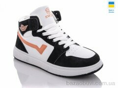 Swin 1603-7, 290.00, 8, 36-41