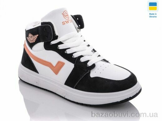 Swin 1603-7, 290.00, 8, 36-41