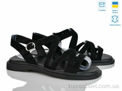 Ailinda 3645-1, 570.00, 6, 36-40