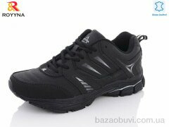 ROYYNA 079 DB-43, 25.50, 8, 41-46