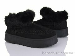 Moli W20-1, 500.00, 8, 36-41