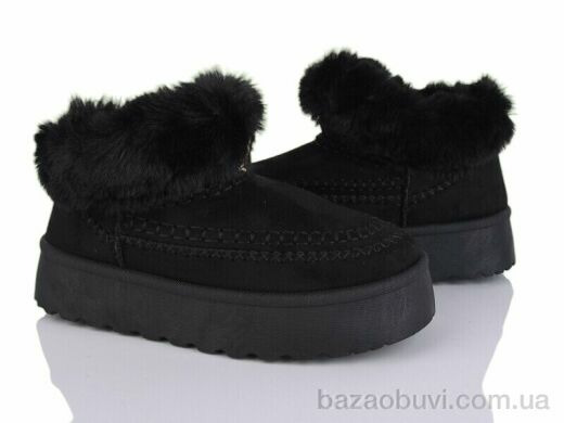 Moli W20-1, 500.00, 8, 36-41