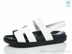 Hongquan K53-6, 490.00, 8, 36-41